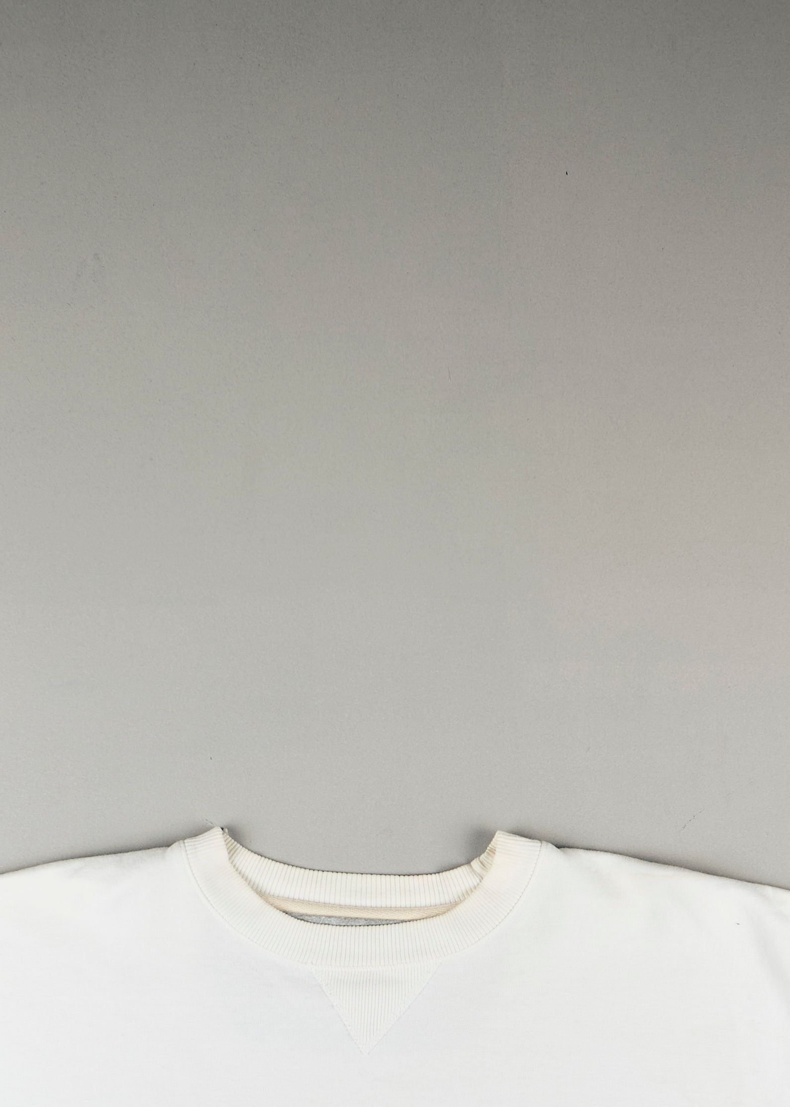 Champion - Sweatshirt (L)