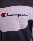Champion Renewed Sweatshirt (L)