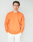 Carhartt - Sweatshirt