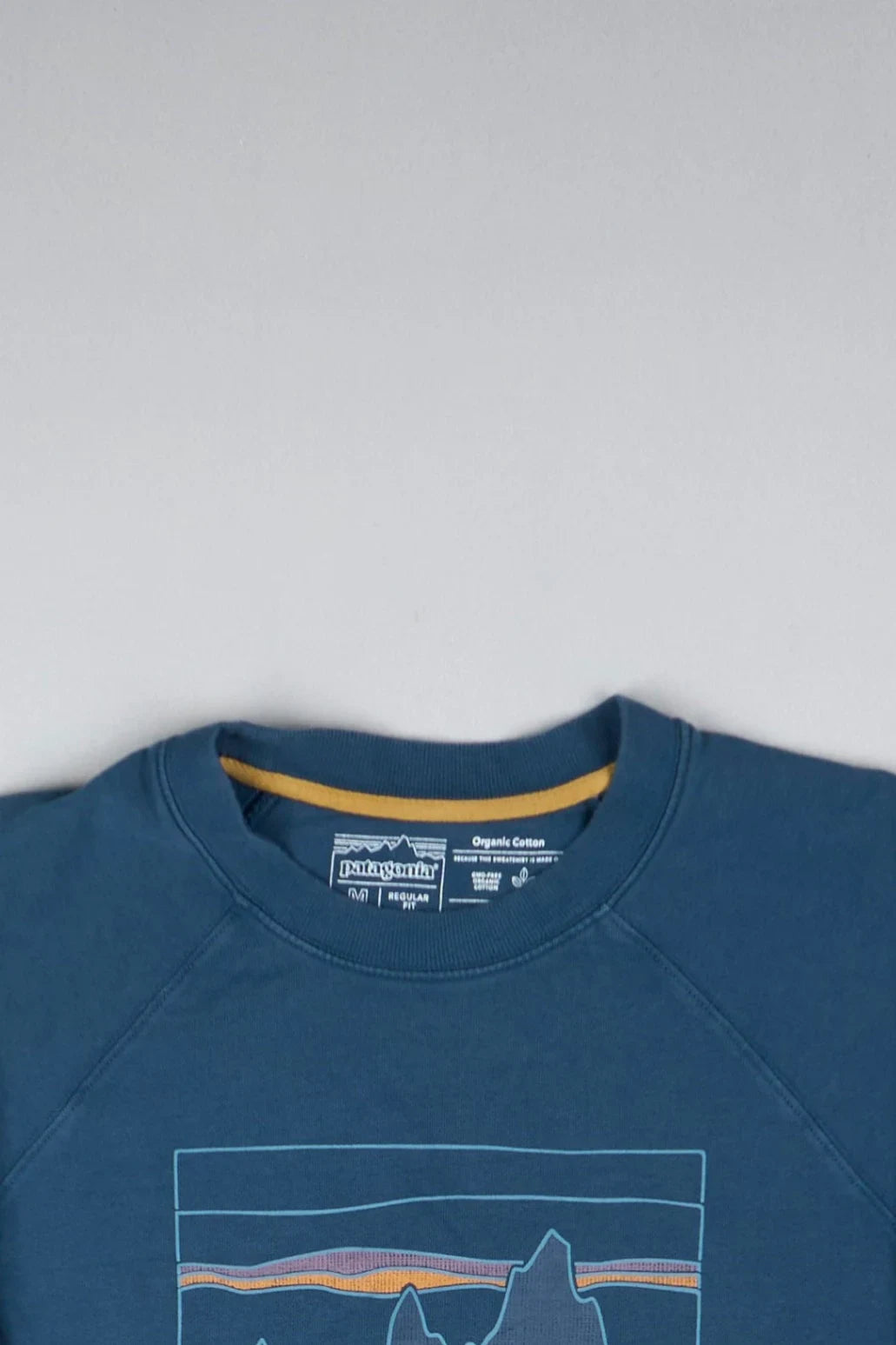 Patagonia - Sweatshirt (M) Top