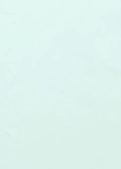 Ralph Lauren - Shirt (L)