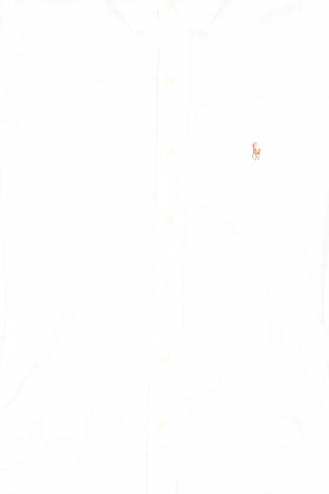 Ralph Lauren - Overhemd (L) Center