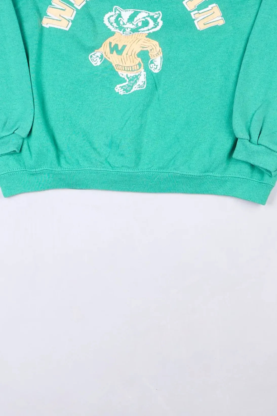 Wisconsin - Sweatshirt (M)
