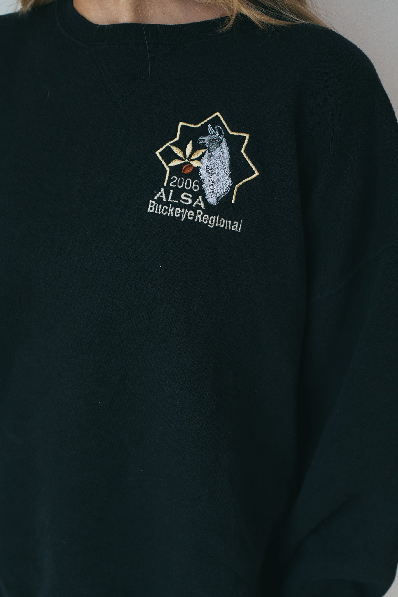 2006 Alsa - Sweatshirt