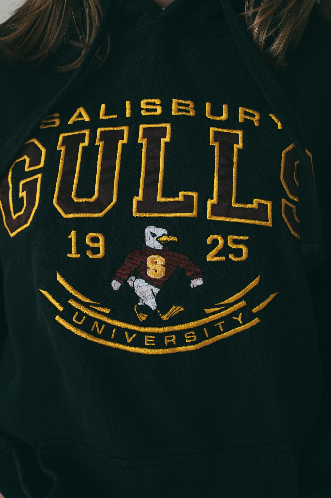 Salisbury Gulls - Hoodie