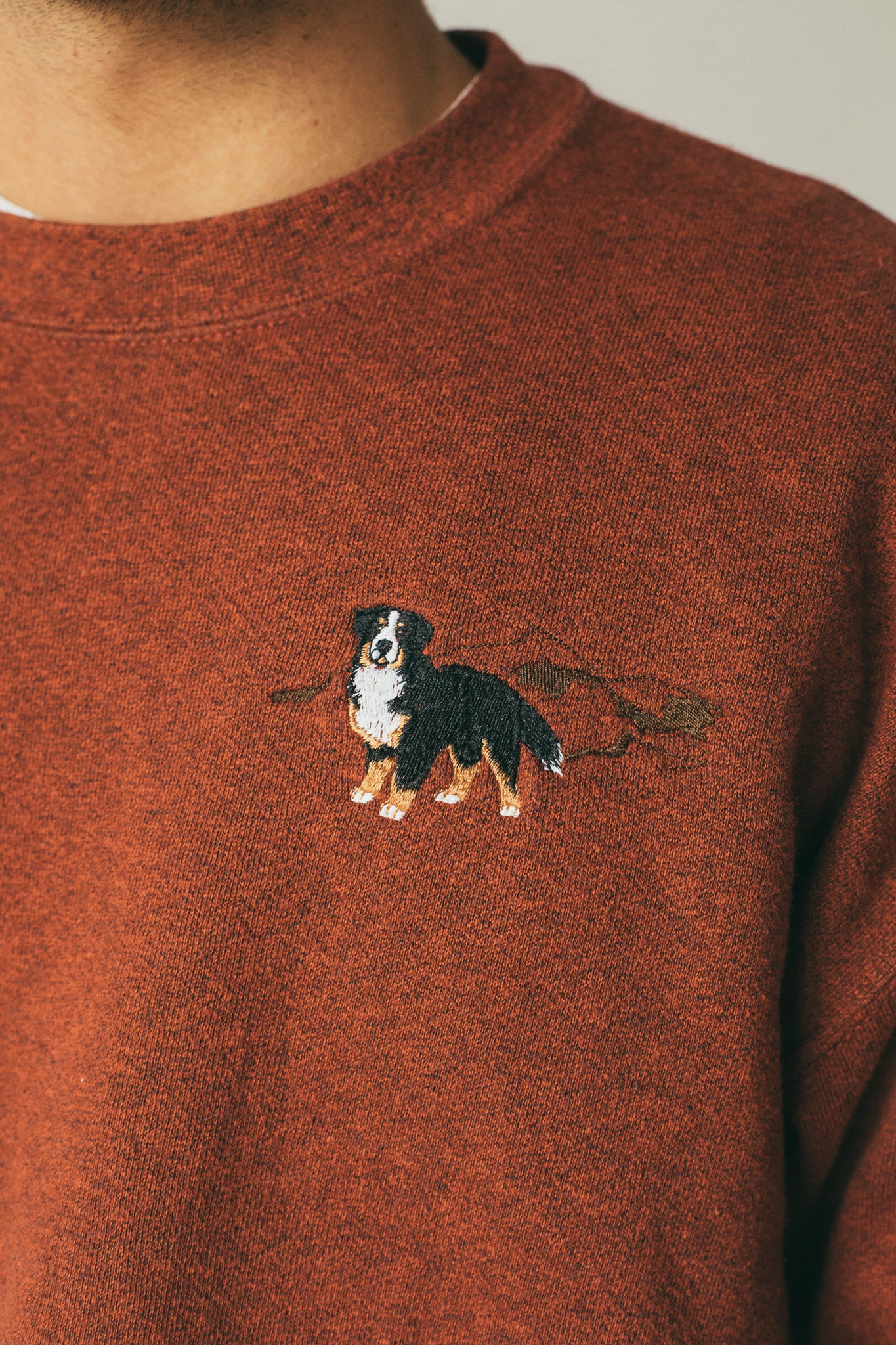 Check - Sweatshirt