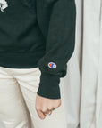 Champion Wyoming - Vintage-Sweatshirt